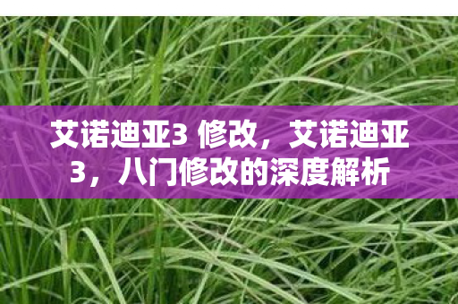 艾诺迪亚3 修改，艾诺迪亚3，八门修改的深度解析