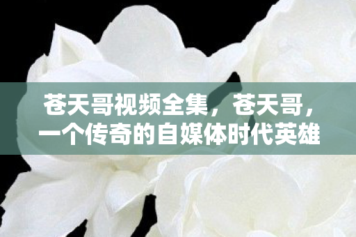 苍天哥视频全集，苍天哥，一个传奇的自媒体时代英雄