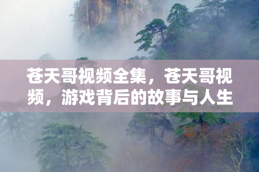 苍天哥视频全集，苍天哥视频，游戏背后的故事与人生感悟