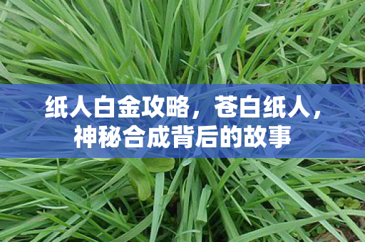 纸人白金攻略，苍白纸人，神秘合成背后的故事