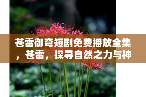 苍雷御穹短剧免费播放全集，苍雷，探寻自然之力与神秘现象