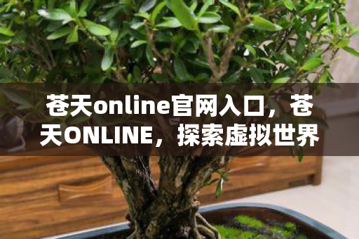 苍天online官网入口，苍天ONLINE，探索虚拟世界的无限可能