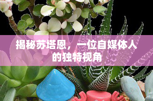 揭秘苏塔恩，一位自媒体人的独特视角