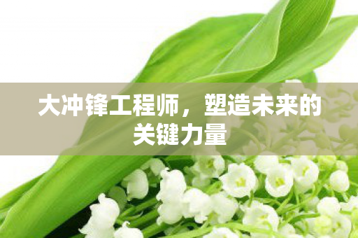 大冲锋工程师，塑造未来的关键力量