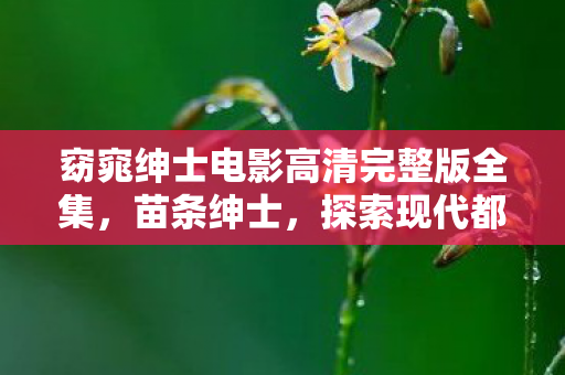 窈窕绅士电影高清完整版全集，苗条绅士，探索现代都市中的健康生活方式