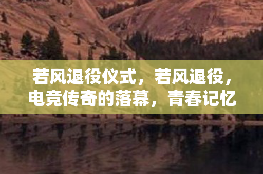 若风退役仪式，若风退役，电竞传奇的落幕，青春记忆的封存