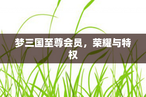 梦三国至尊会员,荣耀与特权 梦三国至尊会员,荣耀与特权