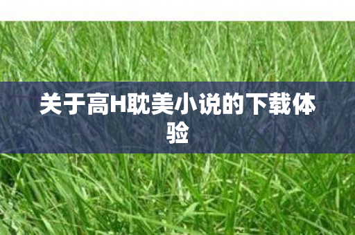 关于高H耽美小说的下载体验 关于高H耽美小说的下载体验