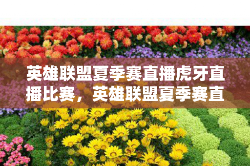 英雄联盟夏季赛直播虎牙直播比赛，英雄联盟夏季赛直播，战火重燃，谁能笑傲江湖？