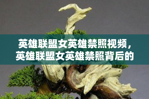 英雄联盟女英雄禁照视频,英雄联盟女英雄禁照背后的故事与争议 英雄联盟女英雄禁照视频,英雄联盟女英雄禁照背后的故事与争议