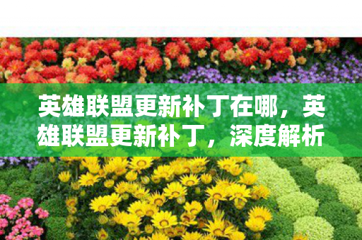 英雄联盟更新补丁在哪，英雄联盟更新补丁，深度解析新内容及其影响