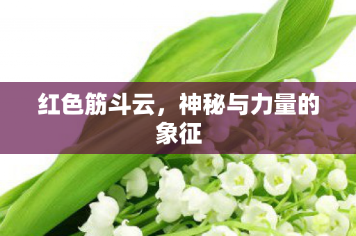 红色筋斗云，神秘与力量的象征