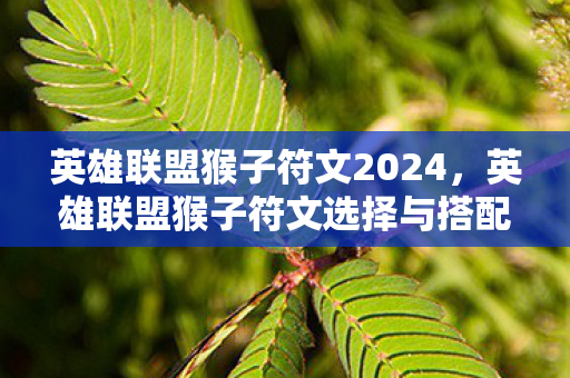 英雄联盟猴子符文2024,英雄联盟猴子符文选择与搭配攻略 英雄联盟猴子符文2024,英雄联盟猴子符文选择与搭配攻略