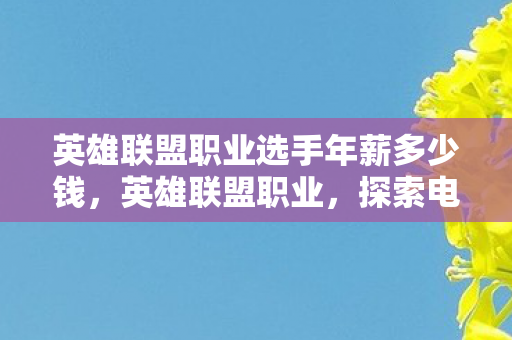 英雄联盟职业选手年薪多少钱,英雄联盟职业,探索电竞之路的荣光与挑战 英雄联盟职业选手年薪多少钱,英雄联盟职业,探索电竞之路的荣光与挑战