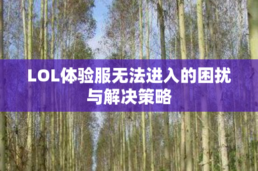 LOL体验服无法进入的困扰与解决策略 LOL体验服无法进入的困扰与解决策略