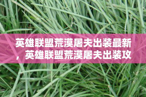 英雄联盟荒漠屠夫出装最新，英雄联盟荒漠屠夫出装攻略