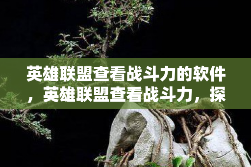 英雄联盟查看战斗力的软件，英雄联盟查看战斗力，探寻英雄荣耀之路