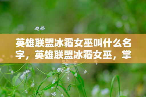 英雄联盟冰霜女巫叫什么名字,英雄联盟冰霜女巫,掌握冰封力量的神秘英雄 英雄联盟冰霜女巫叫什么名字,英雄联盟冰霜女巫,掌握冰封力量的神秘英雄