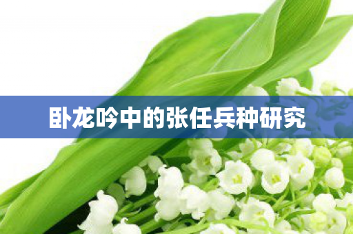 卧龙吟中的张任兵种研究