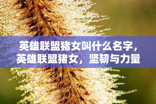 英雄联盟猪女叫什么名字，英雄联盟猪女，坚韧与力量的完美结合