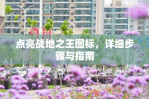 点亮战地之王图标，详细步骤与指南
