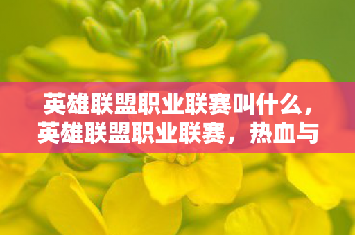 英雄联盟职业联赛叫什么,英雄联盟职业联赛,热血与荣耀的舞台 英雄联盟职业联赛叫什么,英雄联盟职业联赛,热血与荣耀的舞台