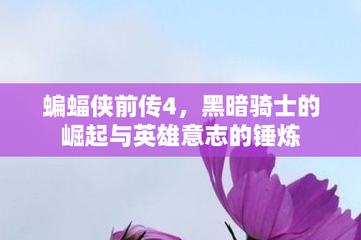 蝙蝠侠前传4，黑暗骑士的崛起与英雄意志的锤炼