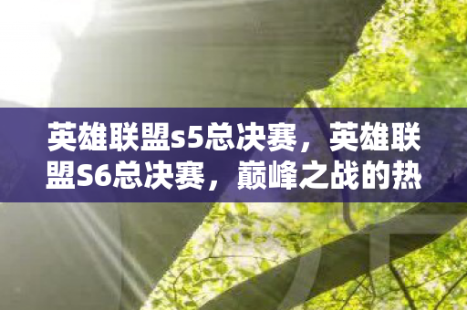 英雄联盟s5总决赛，英雄联盟S6总决赛，巅峰之战的热血记忆