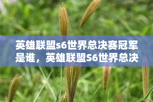 英雄联盟s6世界总决赛冠军是谁，英雄联盟S6世界总决赛，巅峰之战的热血记忆