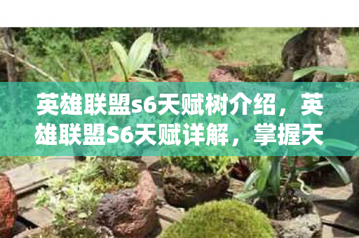 英雄联盟s6天赋树介绍,英雄联盟S6天赋详解,掌握天赋系统,轻松上分! 英雄联盟s6天赋树介绍,英雄联盟S6天赋详解,掌握天赋系统,轻松上分!