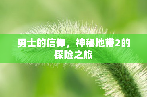 勇士的信仰，神秘地带2的探险之旅