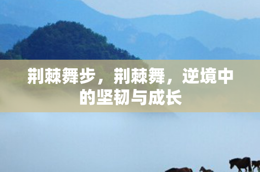 荆棘舞步，荆棘舞，逆境中的坚韧与成长