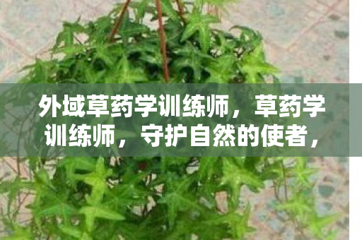 外域草药学训练师，草药学训练师，守护自然的使者，探寻草药的神奇力量