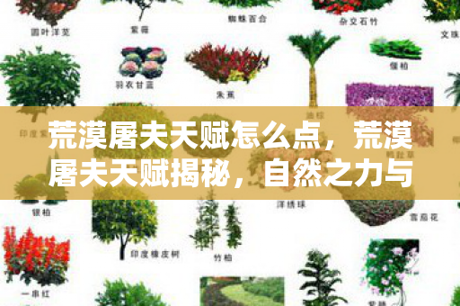 荒漠屠夫天赋怎么点,荒漠屠夫天赋揭秘,自然之力与生存意志的完美结合 荒漠屠夫天赋怎么点,荒漠屠夫天赋揭秘,自然之力与生存意志的完美结合