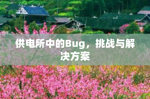 供电所中的Bug，挑战与解决方案