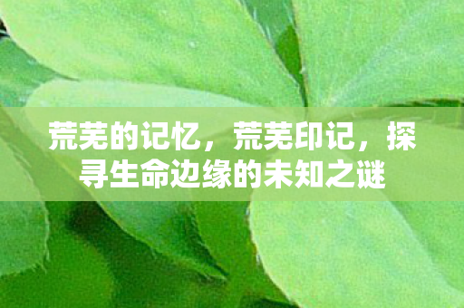 荒芜的记忆，荒芜印记，探寻生命边缘的未知之谜