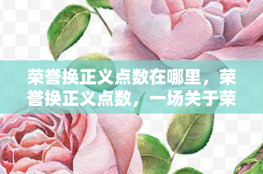 荣誉换正义点数在哪里，荣誉换正义点数，一场关于荣誉与责任的较量
