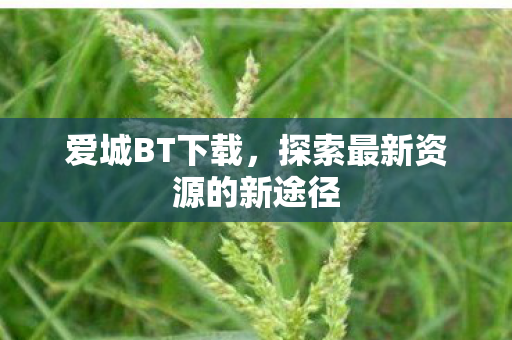 爱城BT下载，探索最新资源的新途径