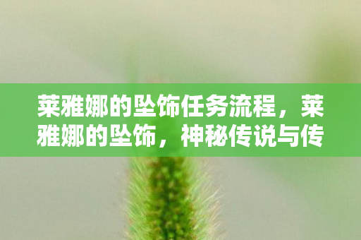 莱雅娜的坠饰任务流程，莱雅娜的坠饰，神秘传说与传世宝藏的探寻