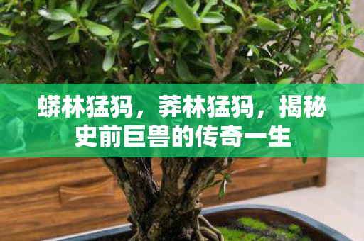 蟒林猛犸,莽林猛犸,揭秘史前巨兽的传奇一生 蟒林猛犸,莽林猛犸,揭秘史前巨兽的传奇一生