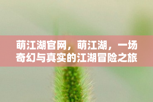 萌江湖官网，萌江湖，一场奇幻与真实的江湖冒险之旅