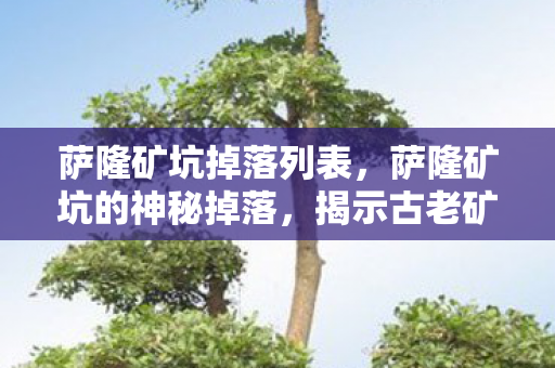 萨隆矿坑掉落列表，萨隆矿坑的神秘掉落，揭示古老矿坑的神秘宝藏与传说