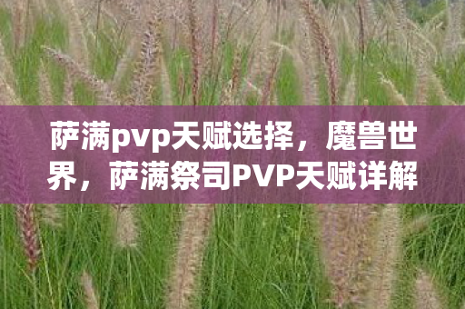 萨满pvp天赋选择，魔兽世界，萨满祭司PVP天赋详解与攻略