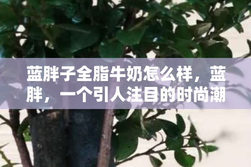 蓝胖子全脂牛奶怎么样,蓝胖,一个引人注目的时尚潮流与背后的故事 蓝胖子全脂牛奶怎么样,蓝胖,一个引人注目的时尚潮流与背后的故事