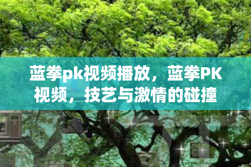 蓝拳pk视频播放，蓝拳PK视频，技艺与激情的碰撞