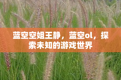 蓝空空姐王静,蓝空ol,探索未知的游戏世界 蓝空空姐王静,蓝空ol,探索未知的游戏世界