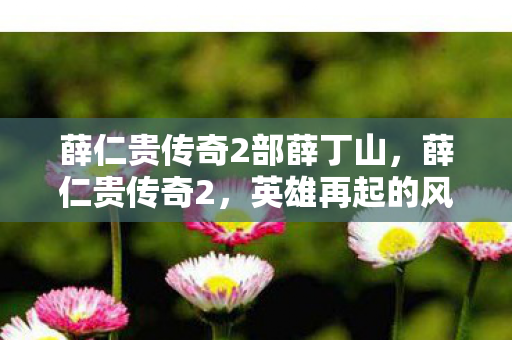 薛仁贵传奇2部薛丁山，薛仁贵传奇2，英雄再起的风云岁月