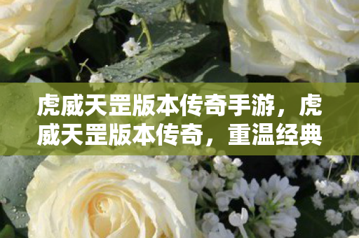 虎威天罡版本传奇手游,虎威天罡版本传奇,重温经典,探索未知的游戏世界 虎威天罡版本传奇手游,虎威天罡版本传奇,重温经典,探索未知的游戏世界