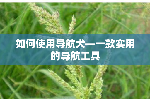 如何使用导航犬—一款实用的导航工具 如何使用导航犬—一款实用的导航工具
