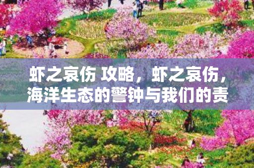 虾之哀伤 攻略，虾之哀伤，海洋生态的警钟与我们的责任